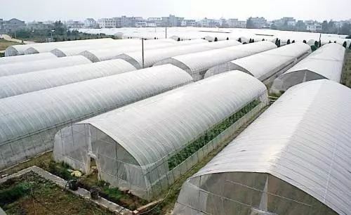 1565748143.jpg 智慧大棚-1.jpg